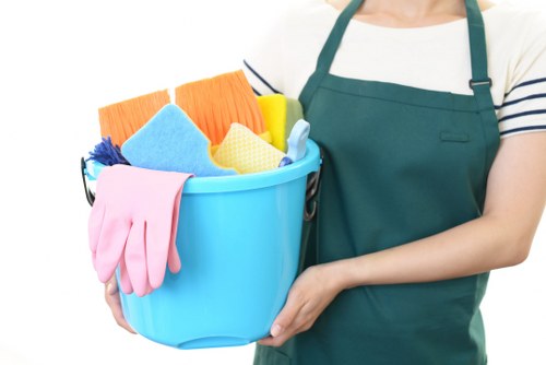Professional stain removal service for carpets and upholstery in Queenspark