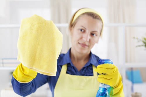 Professional mattress cleaning service in a Queenspark bedroom