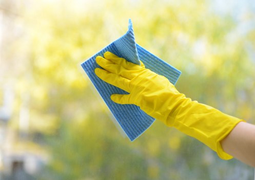 Professional carpet cleaning service in Queenspark for a fresh home interior