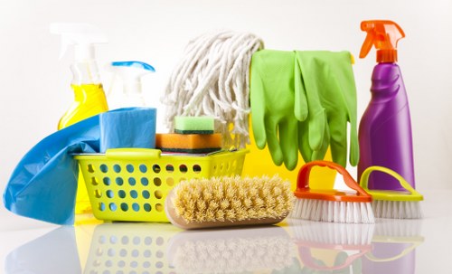 Illustration of accessible cleaning services in Queenspark