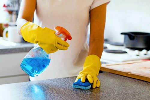 Professional oven cleaning service for a Queenspark home kitchen