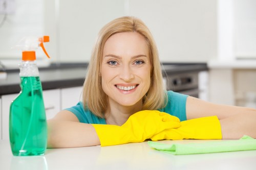 Professional cleaner maintaining washroom and kitchen areas in a Queenspark office