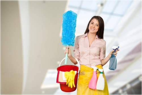 Professional window cleaning for a house in Queenspark