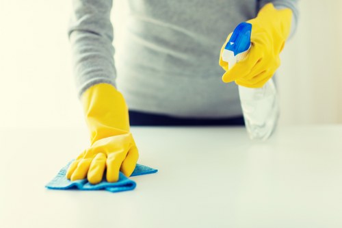 Commercial cleaner maintaining an office in Queenspark
