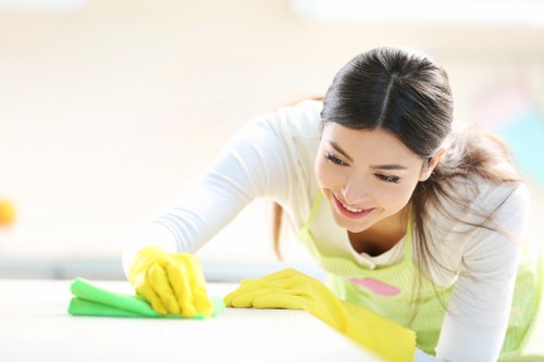 Professional cleaning support for homes and offices in Queenspark