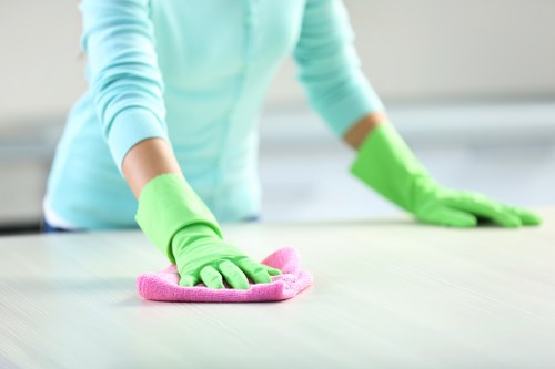 Specialist cleaning for pet urine stains on carpet in Queenspark