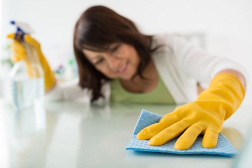 Apartment regular cleaning service in Queenspark