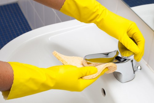Downpipe and gutter inspection during cleaning work